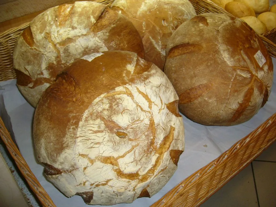szeletelés közben látható a tömör, lyukacsos bélzet